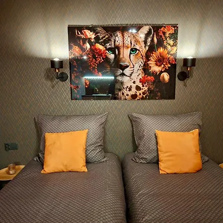 Orange Z Kuchnia I Lazienka Aparthotel